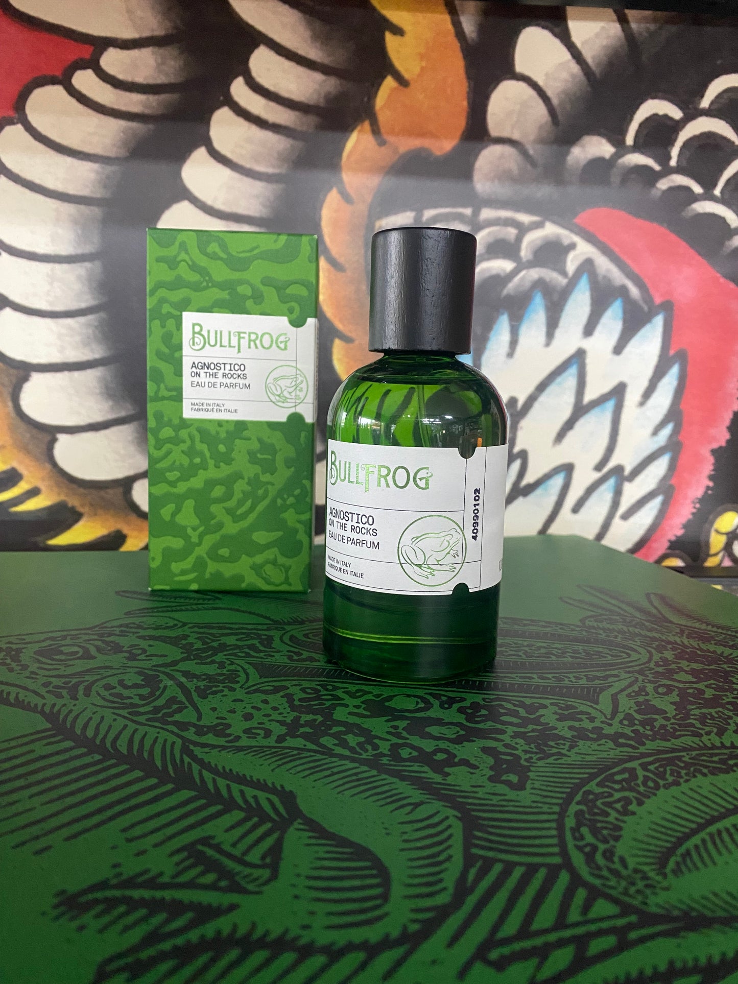 Bullfrog agnostico on the rocks